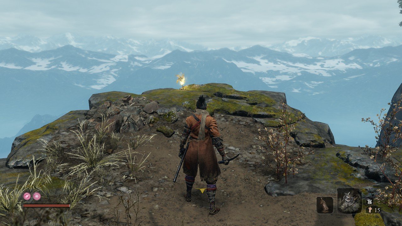 艾尔登法环 终极版 截图13