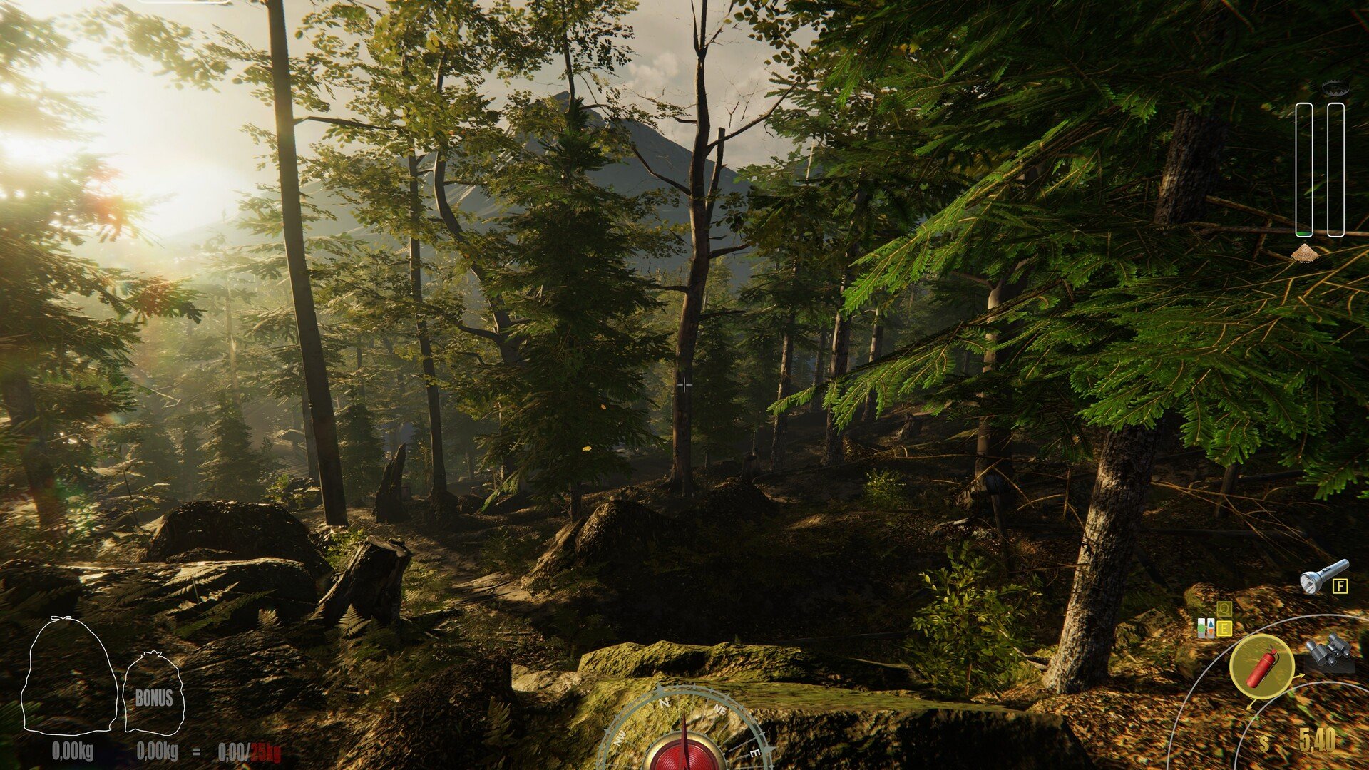 艾尔登法环 完整版 截图21